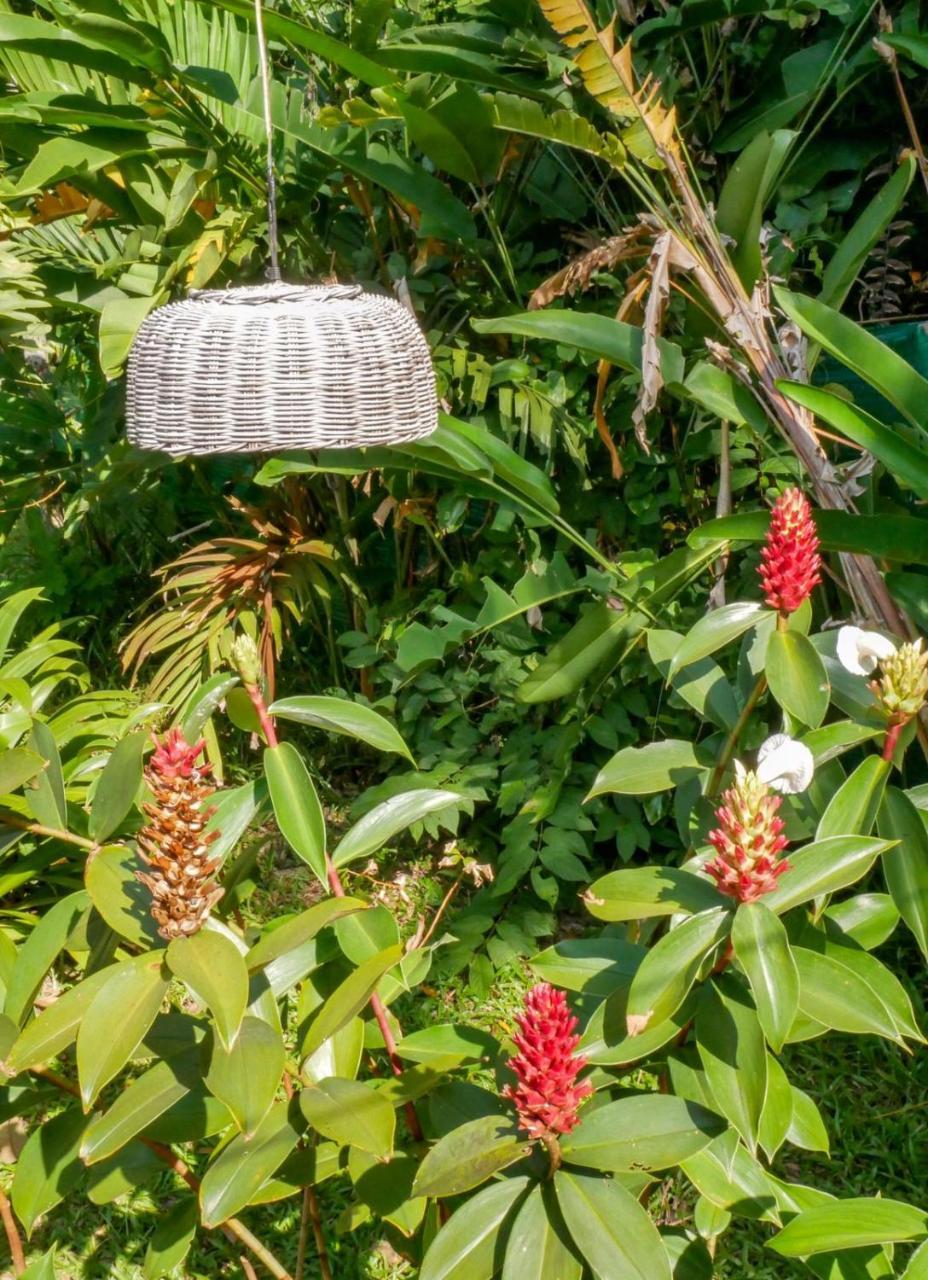 Bloom Garden Guesthouse Siem Reap Exterior photo